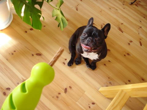 DSC007840003.jpg