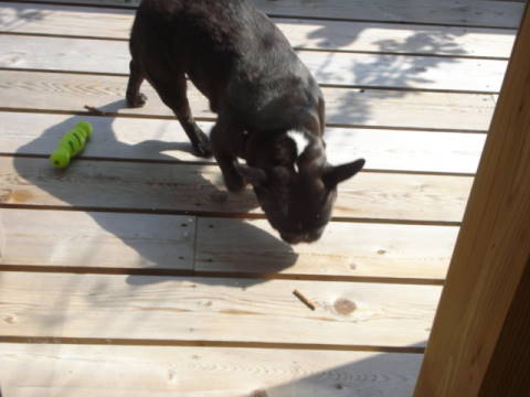 DSC007870004.jpg